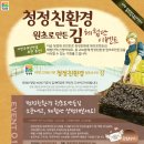 친환경 김 체험 네이버블로그