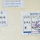 소문난해물칼국수왕돈까스 네이버블로그
