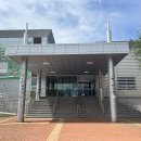 양평곤충박물관 | 양평곤충박물관 후기- 더운 여름 아이랑 실내 여행 추천(Yangpyeong Insect Museum)