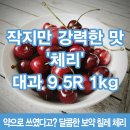 몽땅365