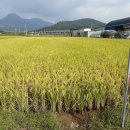 가향농장 이미지