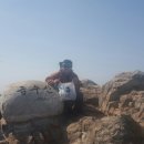 청풍호로 이미지