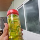 이철 농장 | 청귤.풋귤 예약 판매및 나눔 이벤트