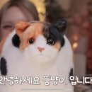 일본 고양이 인형 이미지