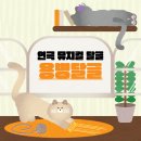 🍇연극뮤지컬달글🍇 : 용병달글 6 이미지