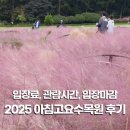 아침봄빵집 | 2025 아침고요 수목원 리뷰, 아침고요수목원 입장료