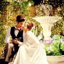 나비야 스튜디오 이미지