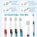 스카이덴트 이미지