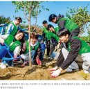 맘스가든