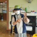 배꼽 유아숲체험원 Daum카페