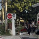 차린 | 치앙마이 디저트맛집 차린파이 จริณพาย 코코넛파이 후기