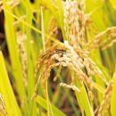 (주)나이스 이미지