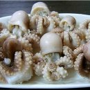 톡톡쭈꾸미 이미지