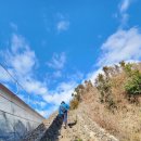제주 올레길 13코스 | 제주 올레길 13코스 (용수포구~저지마을)