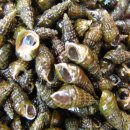 서오릉다슬기해장국 이미지