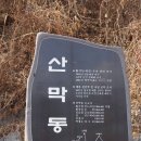 산막골 Daum카페