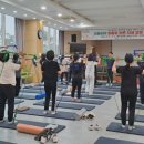 바른자세교정 서울일보