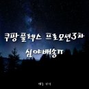 송지사거리~검세길 교차로 | 후기)11월9일 쿠팡플렉스 프로모션3차 심야배송/내 이럴 줄 알았다ㅠㅠㅠ