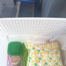 메디힐동물병원 이미지