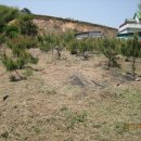 풍농주유소 이미지