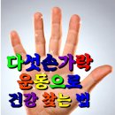 다섯 손가락 운동으로 건강 찾는 법 이미지