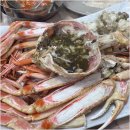 싱싱활어회 이미지