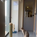 마로동물병원 이미지