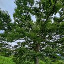 바다향기ing독채펜션 이미지