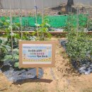 완도초등학교 이미지
