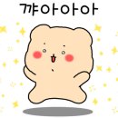 등촌샤브샤브 부산본점 이미지