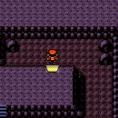 골드비전 이미지