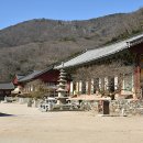 고창이네 이미지