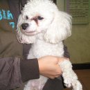 쌍용아파트후문 이미지