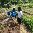 꽃숲유치원 이미지