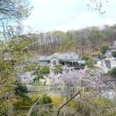 분당-273 이미지