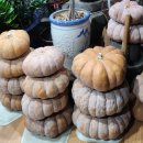 청남대 두메촌 이미지