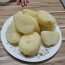 백신농장 이미지