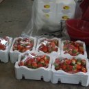 햇살농장 이미지