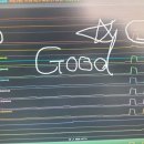 정일카센타 이미지