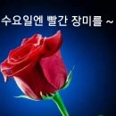 부귀장