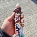 응응스크르연천