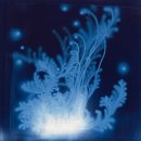 WATERSCAPE 이미지