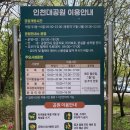 GS25 인천광장 | 인천대공원 만개한 튤립 개화상황 꽃명소 추천 주차