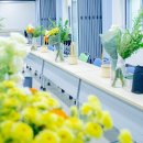 행복한 가족을 위한 그림책 힐링 원예 | 성남 교직원 연수 플라워 클래스 | 기업 기관 단체 출강 수업 원예 체험 프로그램 추천