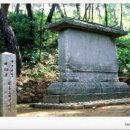 사비농장 이미지