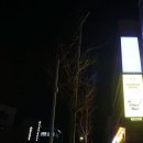 산호세탁 이미지