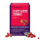건강 엔