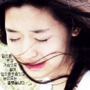 하치 이미지