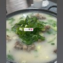 안개식당 | [서귀포 맛집]제주 맛집 공천포식당 먹방 + 한라산 산행 후기