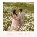 동화 | 제주 웨딩스냅 두시의 동화 내돈내산 후기